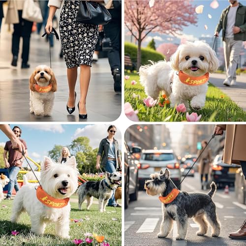 Enjoying Einziehbares Hundehalsband, All-in-One-Hundehalsband, integrierte einziehbare Leine, verstellbares Halsband für kleine und mittelgroße Hunde, Orange