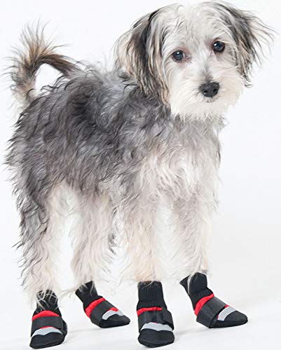 Xxsm Blk/Red Dog Boots #TOP28