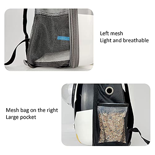 Gabbia per Uccelli Pet Parrot Cat Dog Carrier