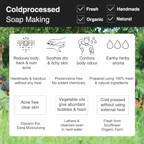 Image of Soulflower Tea Tree Soap Handmade, 100% Pure, Natural & Cold processed Grade 1 BIS Standard Premium & Luxurious Soap with Essential Oils, Exotic Herbs & Aroma, 150g