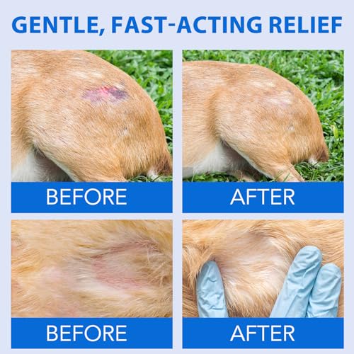 CiAIplw Haustier Wundspray, Wundpflege für Hunde & Katzen, Regeneration der Haut bei Wunden, Entzündungen und Irritationen, Narben- und Wundspray gegen Juckreiz & Kratzen, 120ML