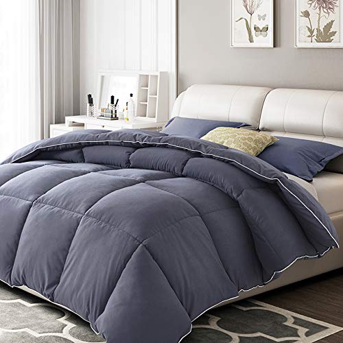 Hisouler Grey Down Alternative Comforter King, All Season Soft Quilted Reversible Duvet Insert with 8 Corner Tabs, 300GSM Plush Microfiber Fill Fluffy Lightweight, 90x102 inches