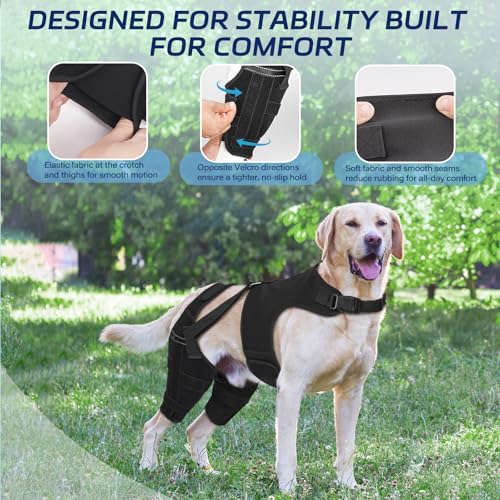 Image of Dog Knee Brace for Torn ACL Hind Leg, Dog Leg Brace Helps Reduce Pain from Torn CCL, Luxating Patella, Ligament Injuries, Hip Dysplasia, XL