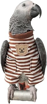Parrot Supplies, Lightweight Flight Suit for Birds, Parrot Restraint Supplies, Comfortable and Warm, Suitable for Green cheeked Parakeets, Sun con, Monk Parakeets S