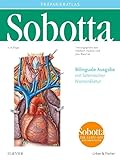 Elsevier