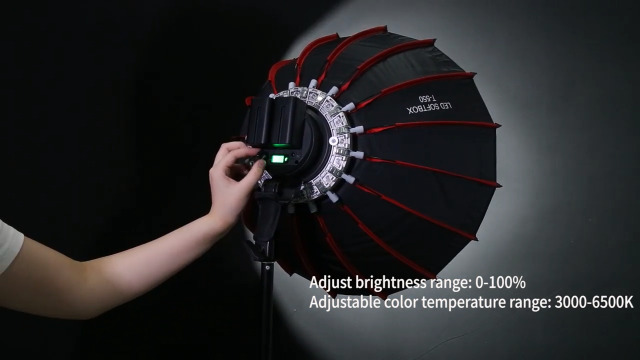 Amazon.com : XPAISYQC 21in/55cm 60W Handheld LED Softbox Light