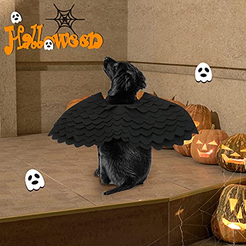 Rypet Pet Halloween Devil Costume - Black Angel Devil Feather Wings Halloween Cosplay Dress Up Accessories Puppy Cat Costume For Party Decoration Small #TOP5