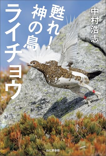 山と溪谷社 【野鳥・動物・植物】 自然科学書フェア　50％OFF　１２月２９日まで