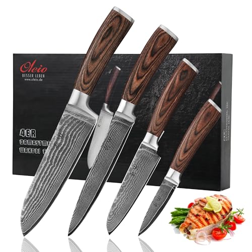 Wakoli EDIB 4-Piece Damascus Knife Set – Professional Kitche...
