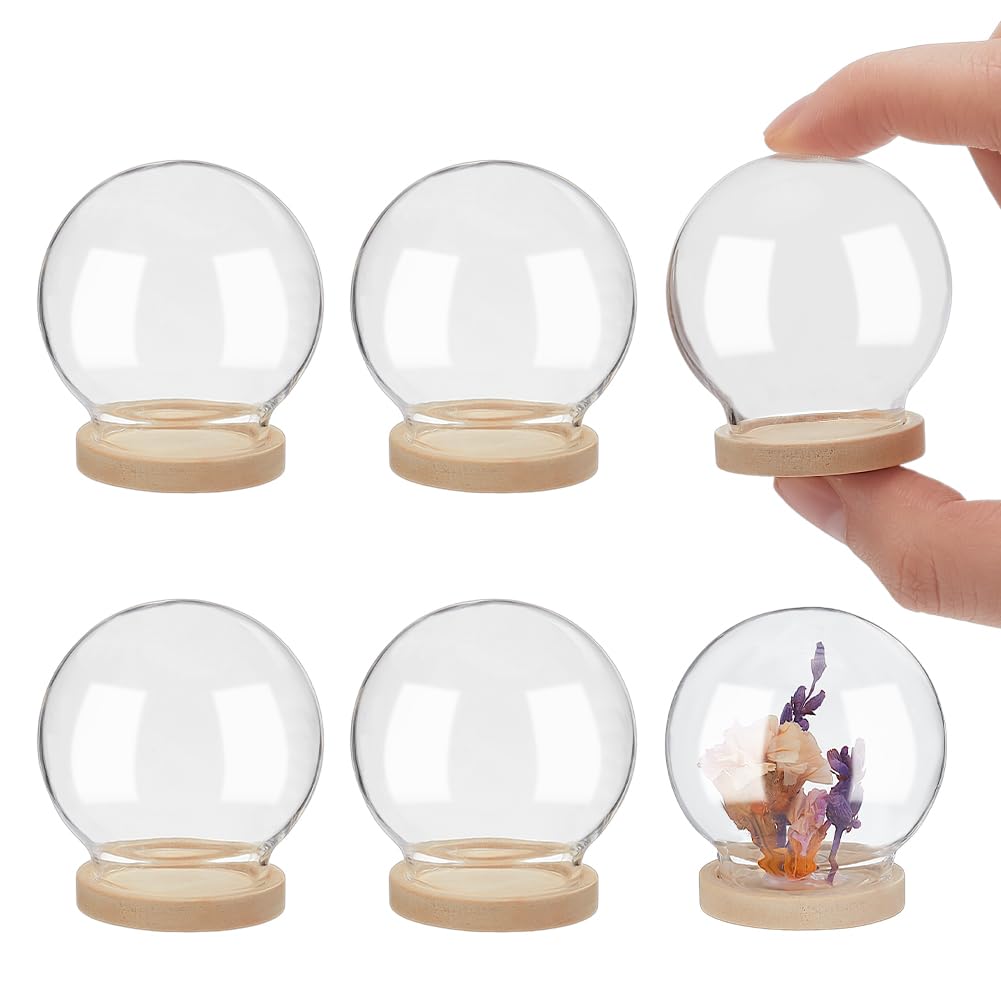 Mini dôme en verre NBEADS pour protéger et exposer vos spécimens