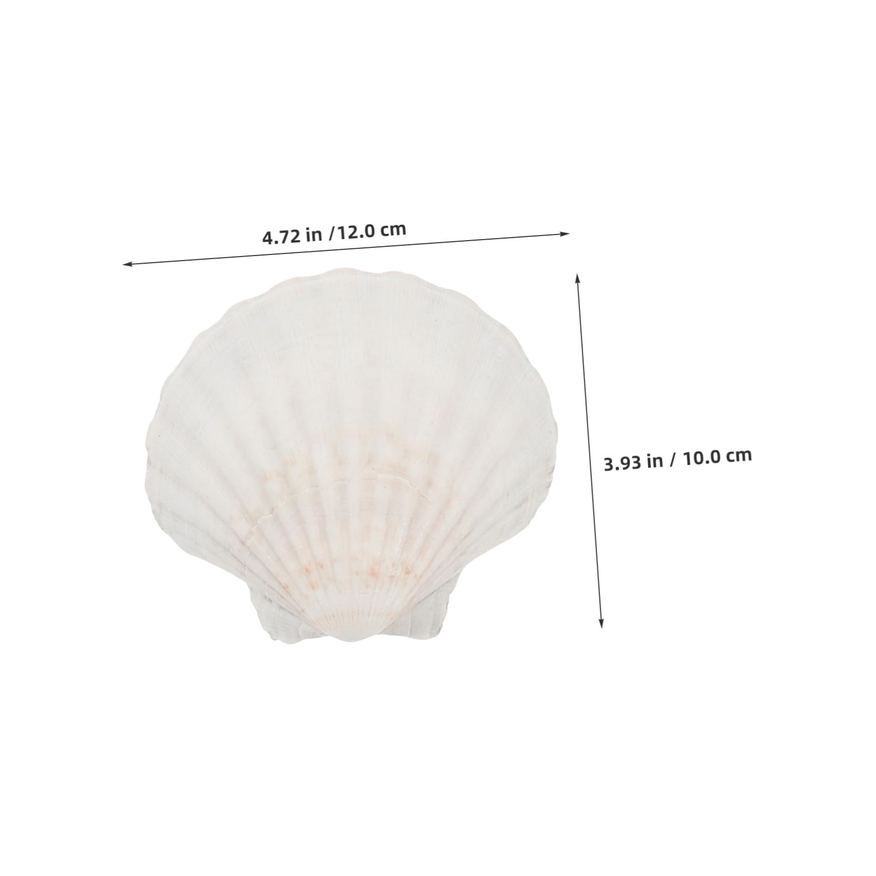 20 Piezas Naturales Resistente al Calor para Hornear y Servir Mariscos Utensilios Reutilizables para Cocina y Barbacoa para Reuniones y Decoración Creativa