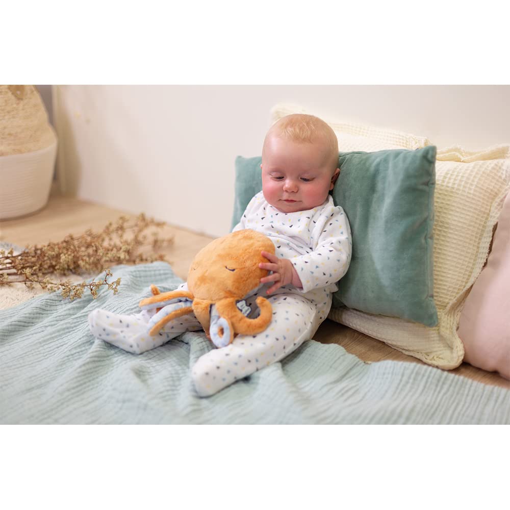 Kaloo - Petit Calme - Kalmerend babypluche dier - Zeester paars 23 cm - Warmwaterkruik effect warm of koud - Zeer zacht materiaal - Afneembare hoes - Vanaf de geboorte, K970702 Kaloo - Petit Calme - Kalmerend babypluche dier - Zeester paars 23 cm - Warmwaterkruik effect warm of koud - Zeer zacht materiaal - Afneembare hoes - Vanaf de geboorte, K970702
