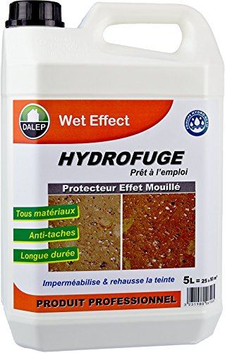 DALEP - Protecteur Effet Mouillé - Silicone - Sealant - 1L (1000ml) - Transparent - Pour Murs et Terrasses - 5m²/2 Couches