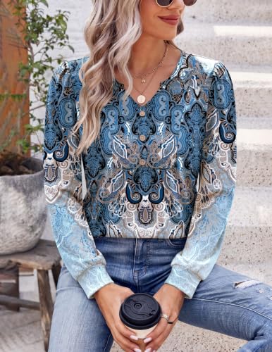 Image of Zeagoo Womens Long Sleeve Tops Fall V Neck Shirt Casual Pleated Tunic Top