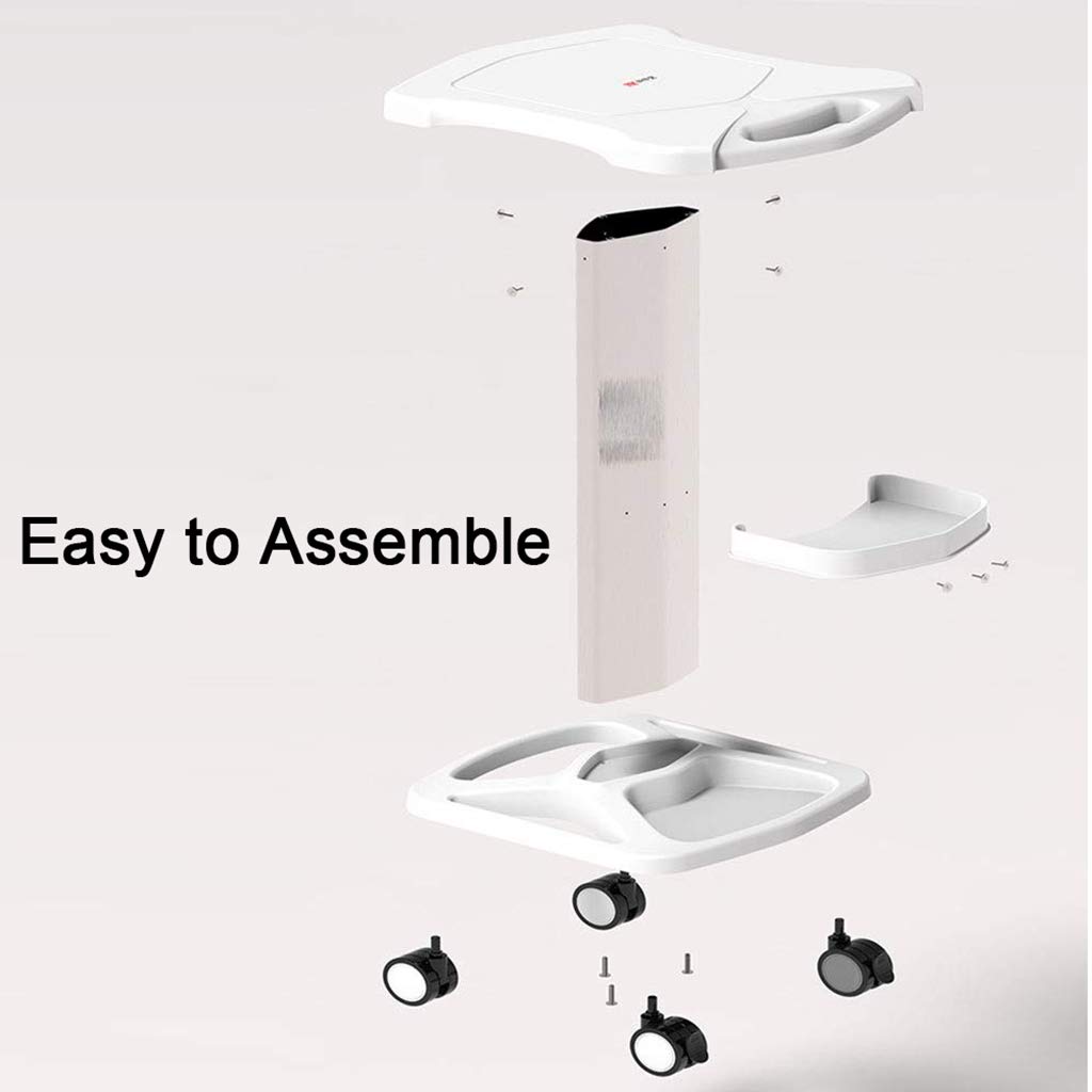 Carro de Belleza, Carro con Ruedas para Salón, Soporte para Carro, Bandeja para Instrumentos de Belleza, Bloqueo de 360 ​​°, Carga Máxima 50kg