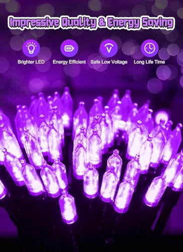 Image of Brightown Purple Battery Operated Christmas String Lights with Timer | 8ft 20LED Mini Christmas Tree Lights for Indoor Outdoor Bedroom Wedding Party Holiday Xmas Decoration