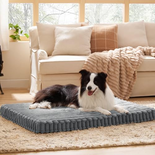 AOYOTO Orthopädisches Memory-Schaum Hundebett XXL, Wasserdicht, Rutschfestes Outdoor-Hundebett mit Abnehmbarem Waschbarem Bezug, Ideal für Große Hunde, Labradore & Bulldoggen