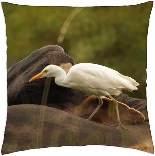 Throw Pillow Cover (16x16 inch) - Birds Nature Quindio Colombia 3