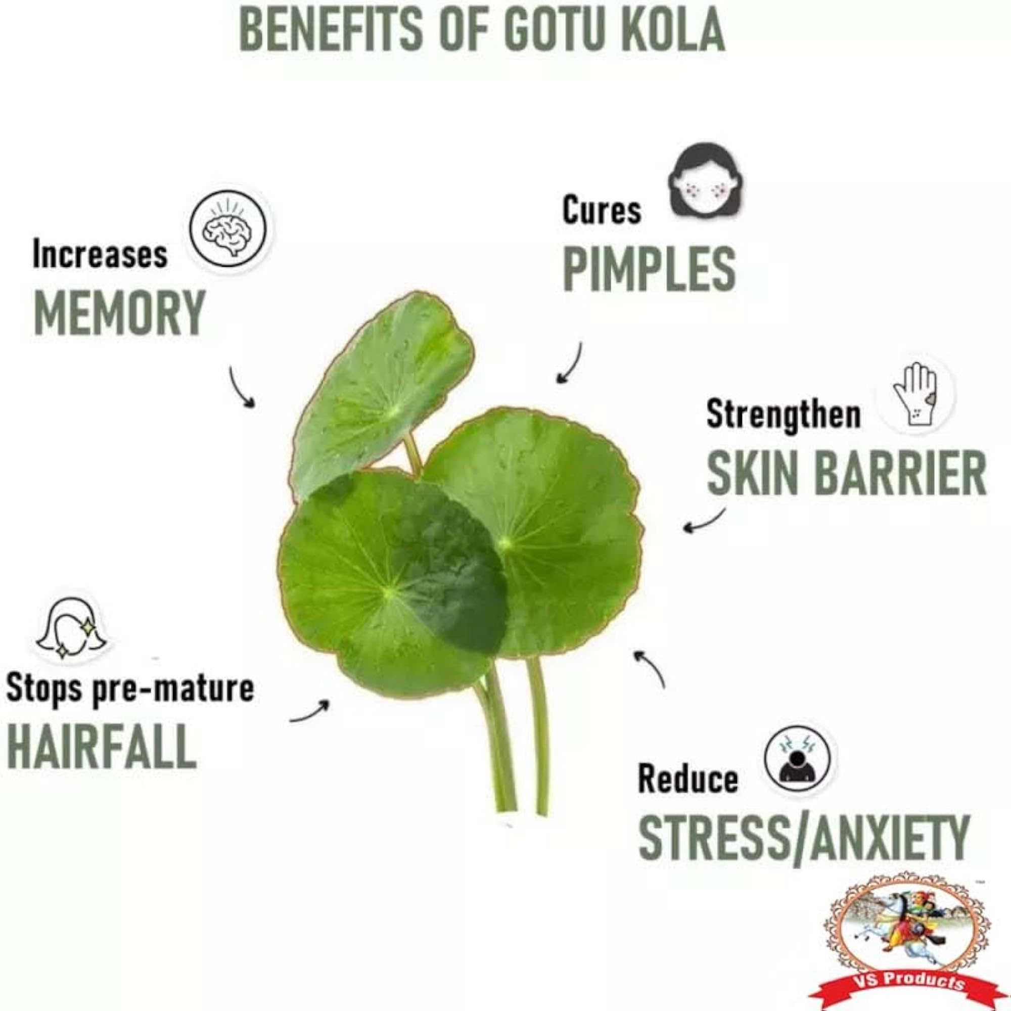 Vallarai Powder 50g, Centella Asiatica Herbal Supplement