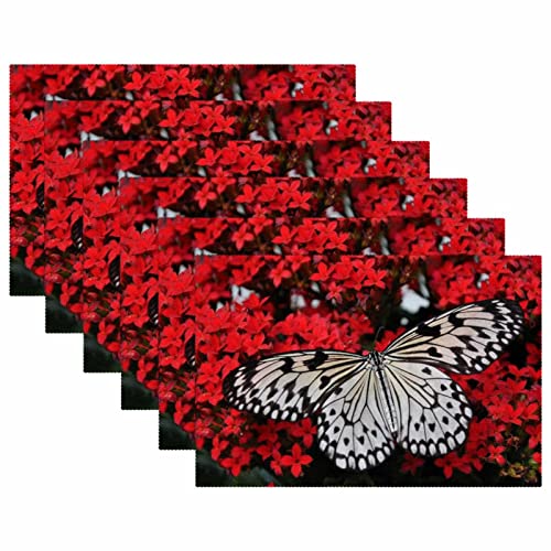 Set de table papillon pour repas en terrasse et décoration de table - 6