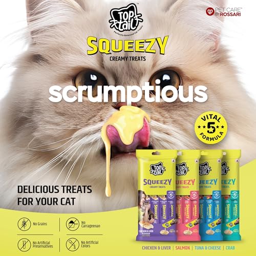Image of Creamy Treat for Cat | Salmon Flavour | 60 Grams (12g x 5 Sachets) | Squeezy Creamy Lickable Treats for Cats, Rich in Omega-3 & 6 Fatty Acids
