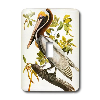 Cubierta para interruptor de luz 3dRose lsp_119836_1 John J Audubon Pelican