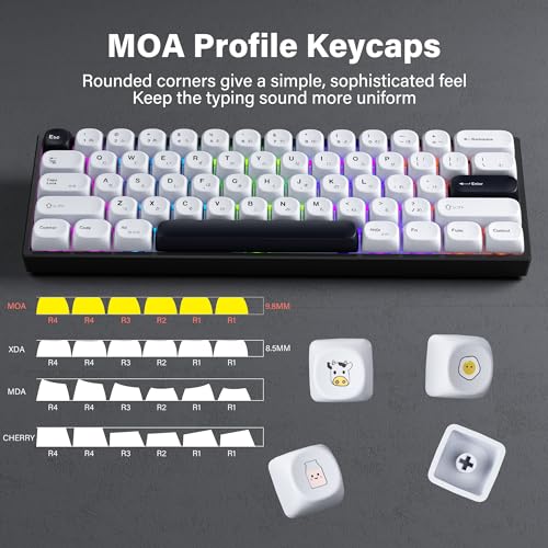 Image of XVX PBT Keycaps - MOA White Japanese 75 Percent, Custom Dye-Sublimation, 137 Keys Set for 100%, 75%, 65%, 60% Keyboard, Bow