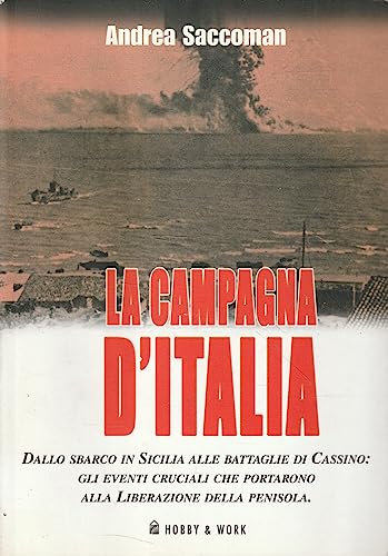 La campagna d'Italia. Dallo sbarco in Sicilia alle battaglie di Cassino: gli eventi cruciali che portarono alla liberazione della peniso