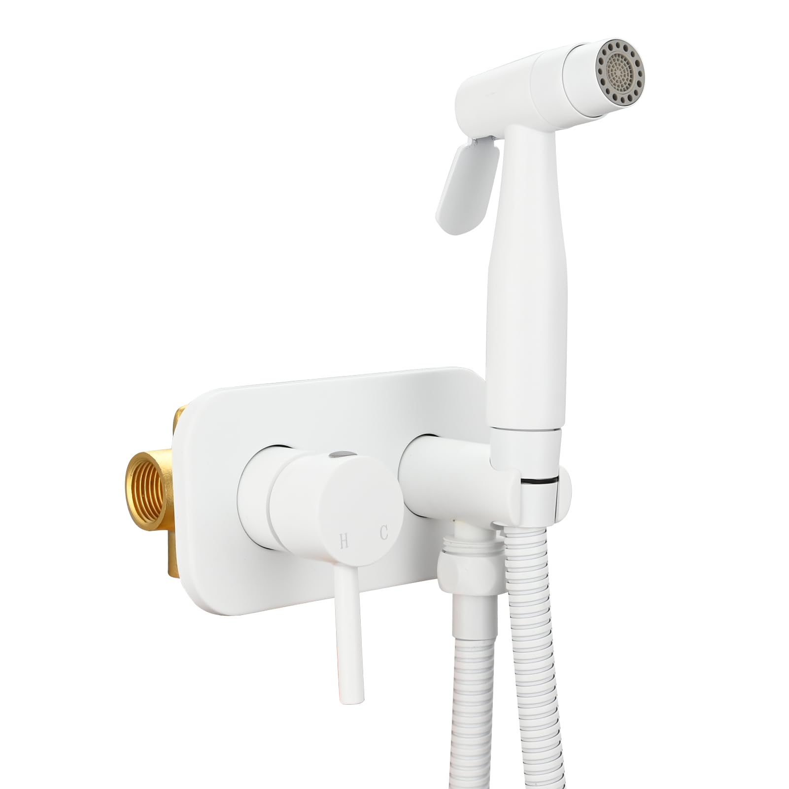 Tecmolog 2 Strahlarten Bidet Handbrause Set Edelstahl Einhebel Bidet Armaturen Kaltes Wasser für WC, Weiß, WS024AWF1