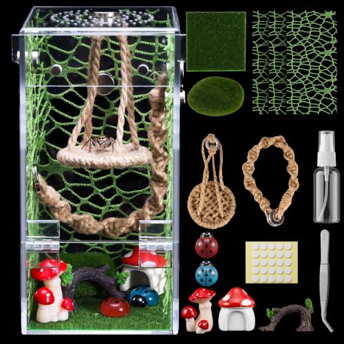 Jumping Spider Enclosure Accessories Kit, Acrylic Terrarium Habitat & Decor