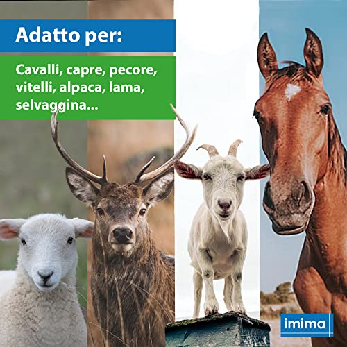 Imima Mineral Lick Horse EQUIBLOCK Set 4 x 3 kg