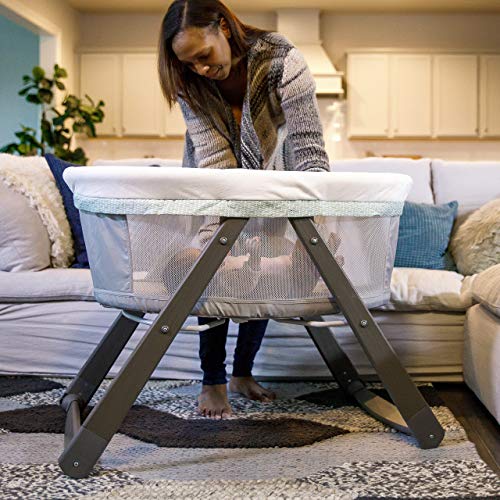ingenuity folding bassinet