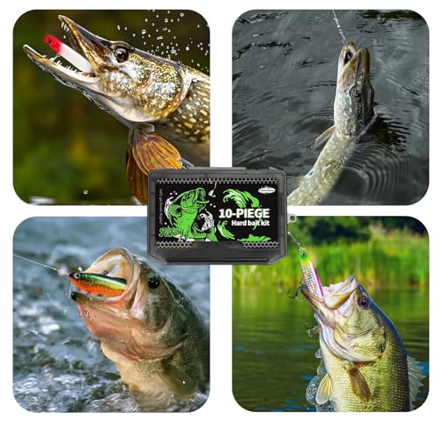 Image of FONMANG Fishing Lures - Tackle Box with Tackle Included, Fishing Kit with VIBs, Frogs, Minnows, Soft Baits, Hooks & Weights Accessories, Freshwater Lure Kit for Bass Walleye Trout