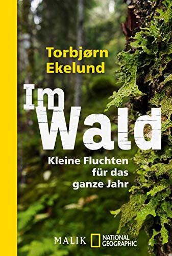 Im Wald: Kleine Fluchten für das ganze Jahr Im Wald: Kleine Fluchten für das ganze Jahr