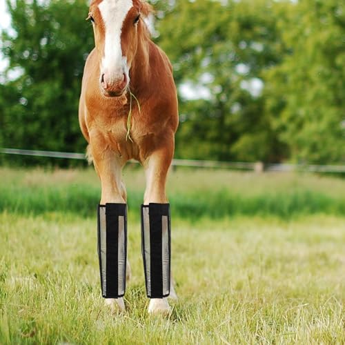 Evite picaduras con protectores de patas de caballo transpirables 8