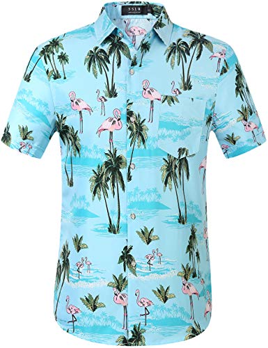 SSLR Men's Printed Casual Button Down Short Sleeve Hawaiian Shirts (Large, Blue (168-284))