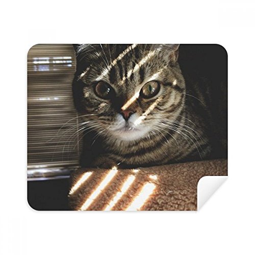 Chiffon de nettoyage écran téléphone chat microfibre tactile