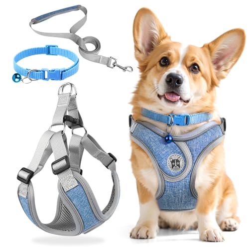 3 Stück Hundegeschirr und Leine Set, Verstellbares Brustgeschirr, Reflektierendes atmungsaktives Hundegeschirr mit D-Ring, Hundegeschirrs Set für Welpen, Kleine Hunde
