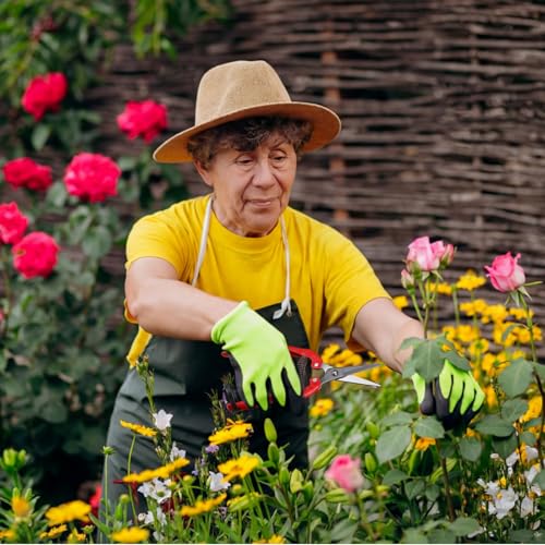 36 Tijeras de Poda Rectas para Jardín y Floristería miniatura 6