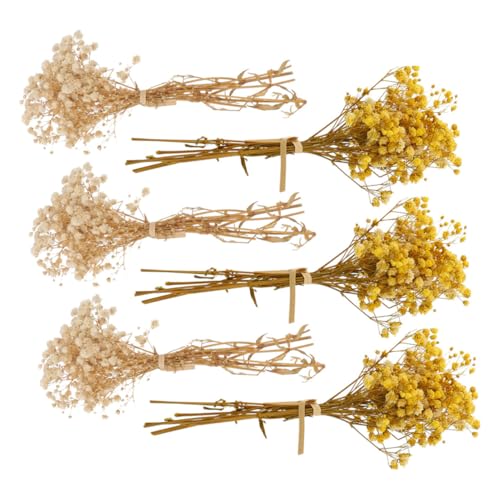 Bouquets mini florales naturales secos Luxshiny 6pcs