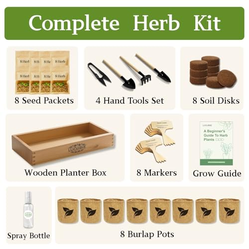 Indoor Herb Garden Start Kit - Unique Gifts for Women, Mothers Day Gifts, Easy House Plant- Birthday for Women,House Warming Gift New Home- Fresh Herb Garden DIY Crafts for Adults - Image 3