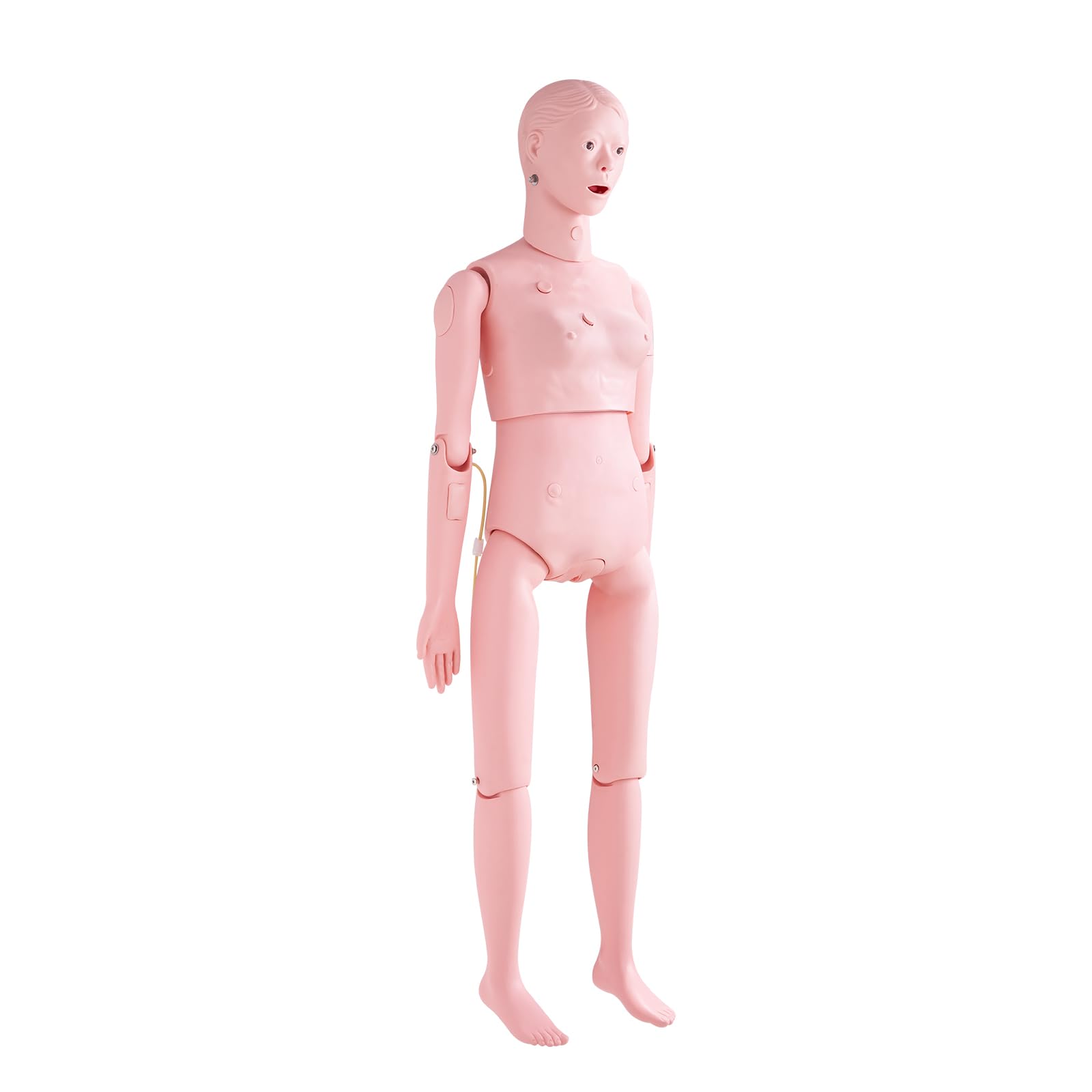 VEVOR Maniquí de Enfermería Femenino Maniquí de Cuidado del Paciente Alto de 153 cm PVC Maniquí de Entrenamiento de Enfermera Simulación Realista para Enseñanza Formación Médica de Hospital Instituto