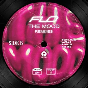 The Flo Bo's – Dem Thangz Volume 1 The Flo Bo's – Dem Thangz Volume 1 – CD (Album), 2002