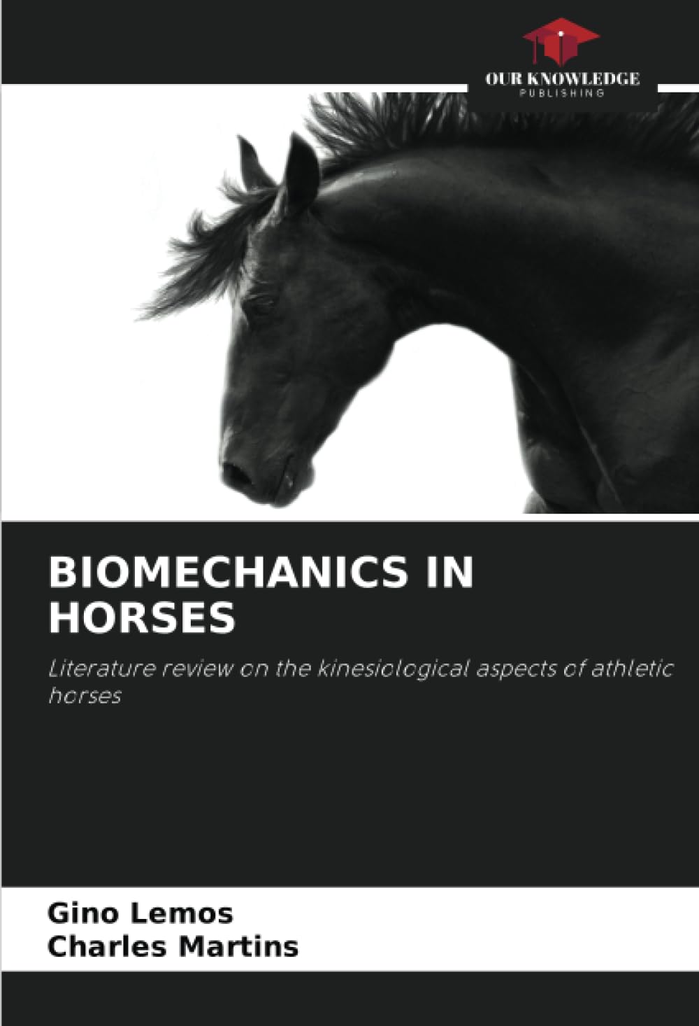 BIOMECHANICS IN HORSES: Literature review on the kinesiological aspects of athletic horses