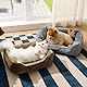 BEDSURE Katzenbett waschbar Katzen Bettchen- 51x41cm Katzenkorb Indoor mit Rutschfester Basis, quadratisches hundebett für kleine Hunde mit weich Rand, Grau