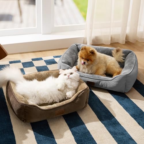BEDSURE Katzenbett große Katzen waschbar - 63.5x53cm rutschfestes Hundebett kleine Hunde, quadratisches Katzenkorb mit weichem Rand, grau