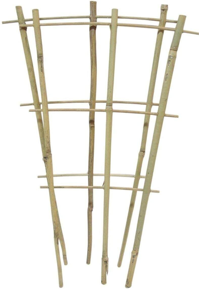 Handmade ALL NATURAL Eco-Friendly Bamboo Lader Trellis Plant Support Weather Resistant Provide Support To Climbing Plant Trainer (3, 60cm)