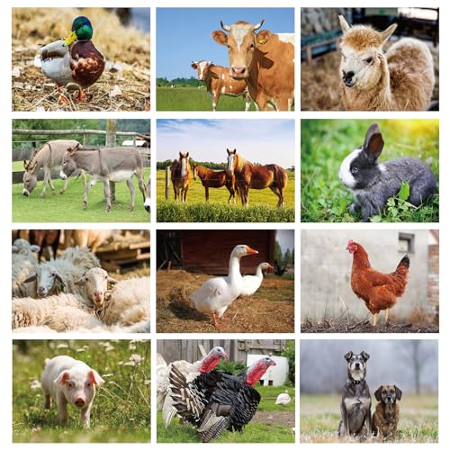 Motiskyy 12 Pcs Diversity Posters for Classroom Preschool Educational Learning
