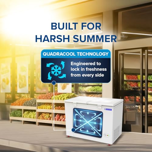 Image of Blue Star HT4-N350, 350 Liter Hard Top Double Door Deep Freezer (310 Liter, White, 4-star)