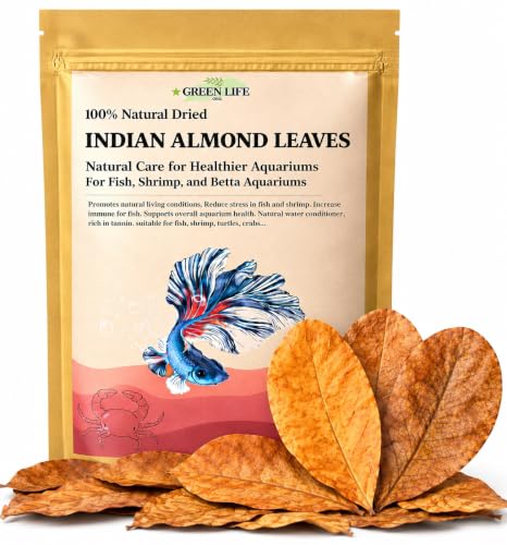 Green Life Org Premium Indian Almond Leaves. 40 Leaves 8-10 inchs. Catappa Leaves Rich in Tannin. Vacuum Packet. Awsome Aquarium Decorations (Large).